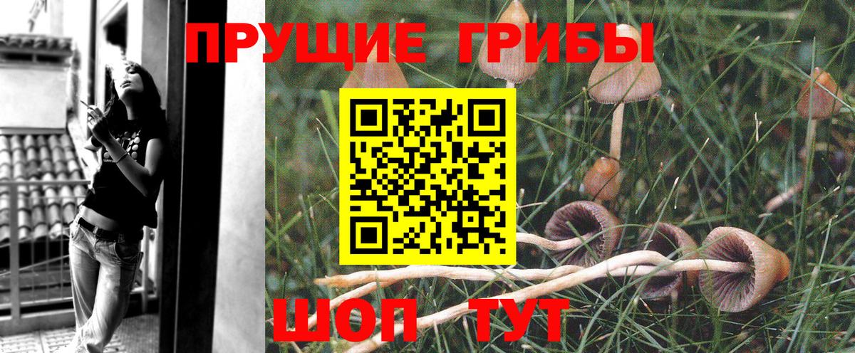 закладка  Галлюциногенные грибы Psilocybine cubensis  Вход с VPN  Псилоцибиновые грибы GOLDEN TEACHER  Боровичи 